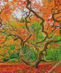 Autumn Old Growth Trees Diamond Painting