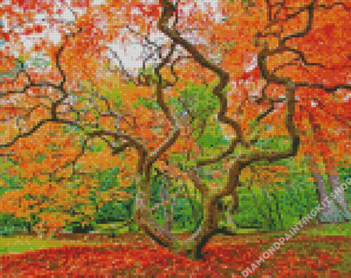 Autumn Old Growth Trees Diamond Painting