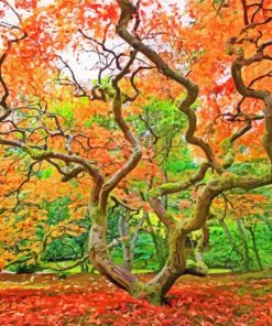 Autumn Old Growth Trees Diamond Painting