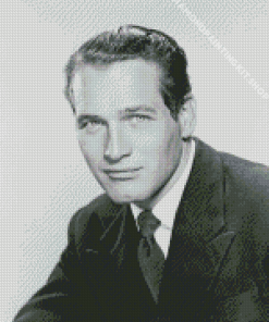 Black And White Paul Newman Diamond Painting