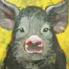 Black Pig Diamond Painting