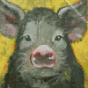 Black Pig Diamond Painting