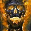 Blazing Skull Diamond Painting