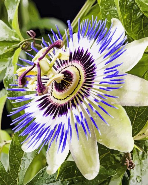 Blue Passion Flower Diamond Painting