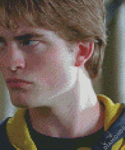 Cedric Diggory Character Diamond Painting