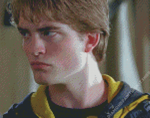 Cedric Diggory Character Diamond Painting