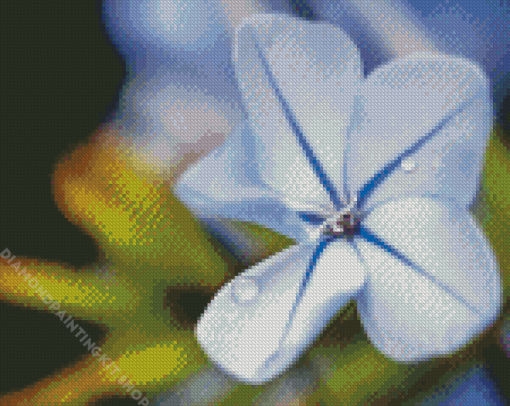 Close Up Plumbago Flowers Diamond Painting