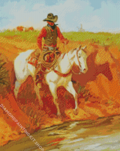 Cowboy In Arizona Art Diamond Painting