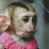 Cute Monkey In Dress Diamond Painting