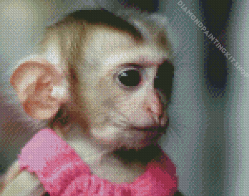 Cute Monkey In Dress Diamond Painting