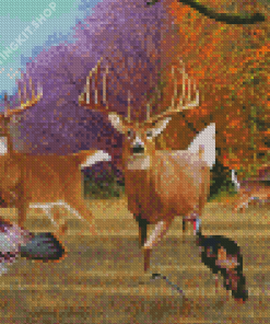 Deer And Turkey Animals Diamond Painting