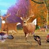 Deer And Turkey Animals Diamond Painting