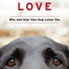 Dog Is Love Poster Diamond Painting