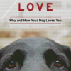 Dog Is Love Poster Diamond Painting