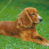 English Cocker Spaniel Diamond Painting