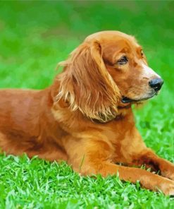 English Cocker Spaniel Diamond Painting