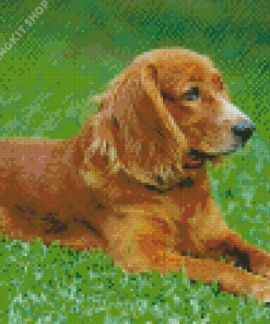 English Cocker Spaniel Diamond Painting