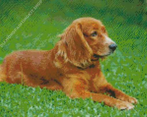 English Cocker Spaniel Diamond Painting