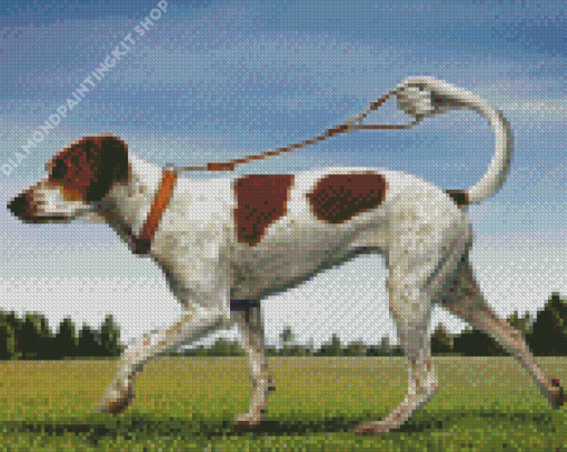 Fantasy Leash Dog Diamond Painting