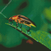 Firefly Insect Diamond Painting