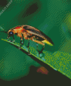 Firefly Insect Diamond Painting