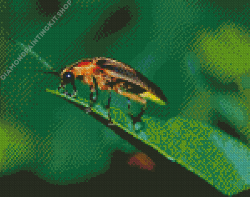 Firefly Insect Diamond Painting