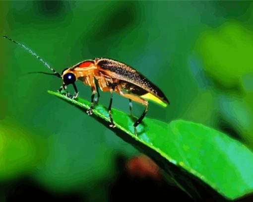 Firefly Insect Diamond Painting