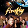 Firefly Poster Diamond Painting