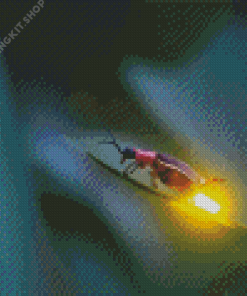 Firefly Diamond Painting