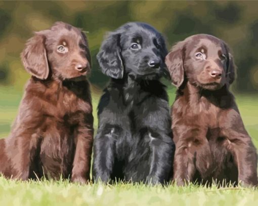 Flat Coated Retrievers Diamond Painting