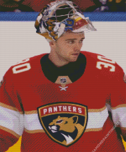 Florida Panthers Player Diamond Painting