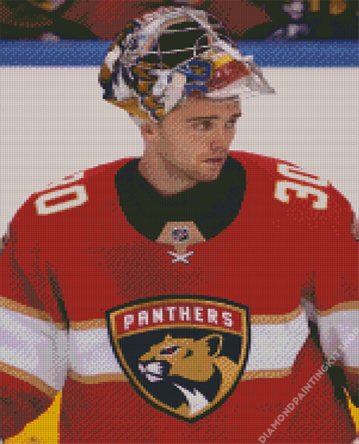 Florida Panthers Player Diamond Painting