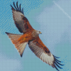 Flying Red Kite Bird Diamond Painting