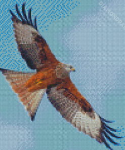 Flying Red Kite Bird Diamond Painting