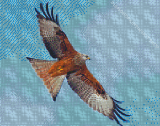 Flying Red Kite Bird Diamond Painting