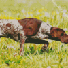 German Shorthaired Dog Diamond Painting