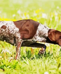 German Shorthaired Dog Diamond Painting