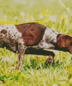 German Shorthaired Dog Diamond Painting