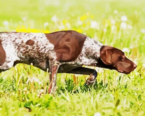 German Shorthaired Dog Diamond Painting