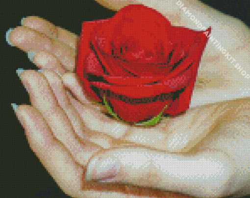 Giving A Rose On Hnad Diamond Painting