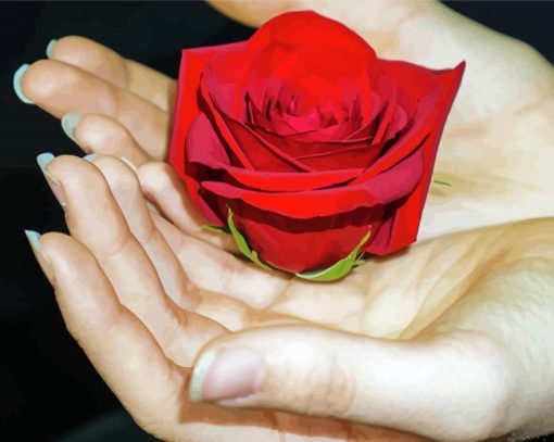 Giving A Rose On Hnad Diamond Painting