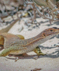 Goanna Reptile Diamond Painting