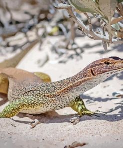 Goanna Reptile Diamond Painting