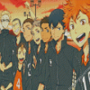 Haikyuu Nekoma X Karasuno Diamond Painting