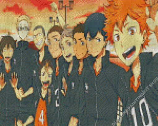 Haikyuu Nekoma X Karasuno Diamond Painting