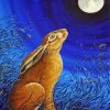 Hare And Moon In Starry Night Diamond Painting