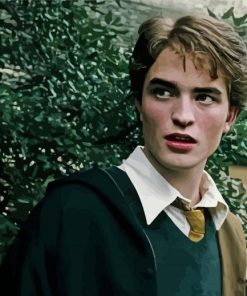 Harry Potter Character Cedric Diggory Diamond Painting