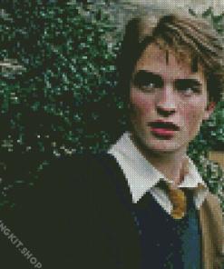 Harry Potter Character Cedric Diggory Diamond Painting