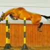 Horse Jumping Diamond Painting