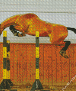 Horse Jumping Diamond Painting